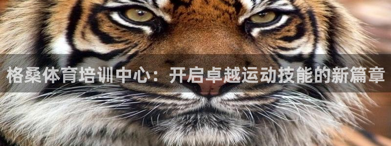 焦点娱乐传媒有限公司怎么样啊知乎：格桑体育培训中心：