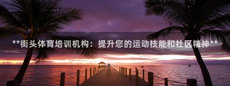焦点娱乐平台注册账号安全吗：**街头体育培训机构：提
