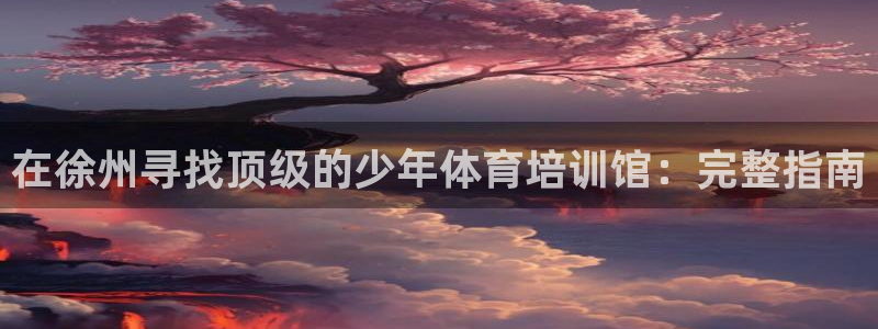 焦点娱乐官网下载安装苹果版：在徐州寻找顶级的少年体育