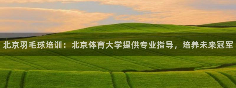 焦点娱乐怎么找客服：北京羽毛球培训：北京体育大学提供