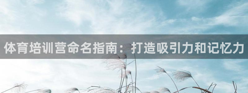 焦点娱乐官方网站首页入口：体育培训营命名指南：打造吸