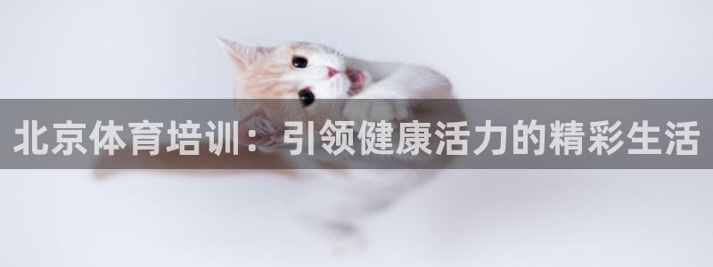焦点娱乐官网下载安装最新版苹果