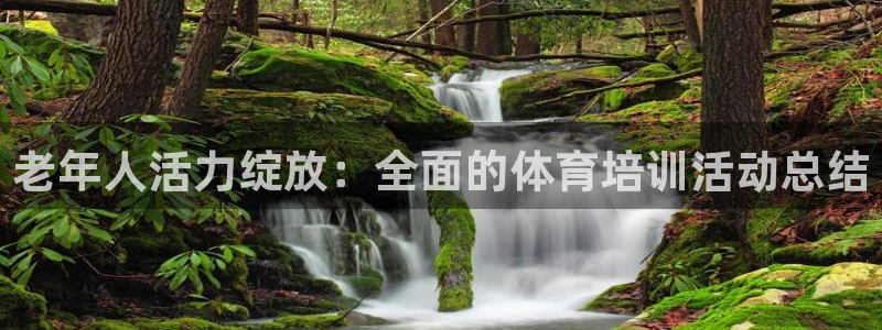 焦点娱乐平台：老年人活力绽放：全面的体育培训活动总结