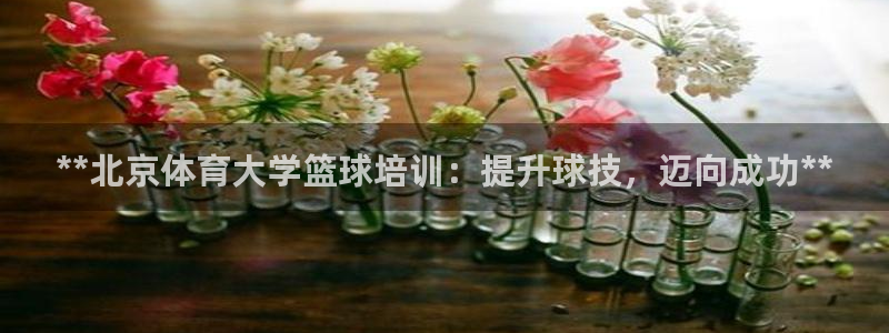 焦点娱乐公司简介资料：**北京体育大学篮球培训：提升