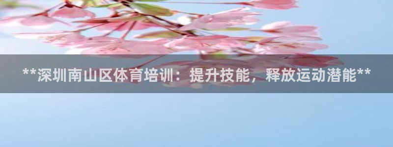 焦点娱乐下载手机版最新版：**深圳南山区体育培训：提