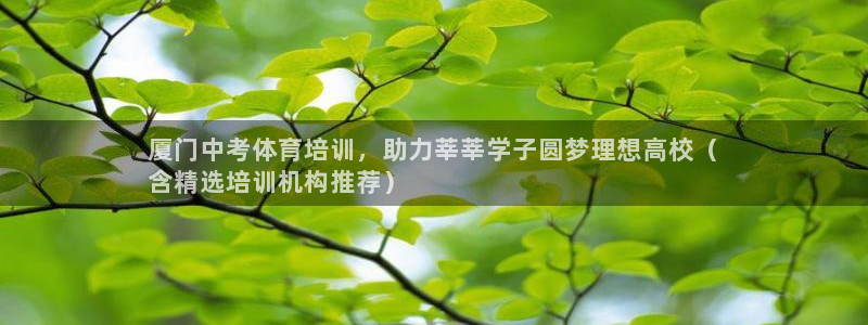 焦点娱乐全国总冠军是谁：厦门中考体育培训，助力莘莘学