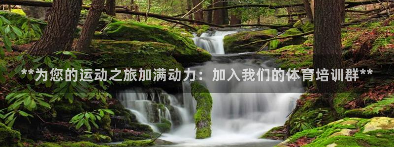 焦点娱乐平台最高待遇：**为您的运动之旅加满动力：加