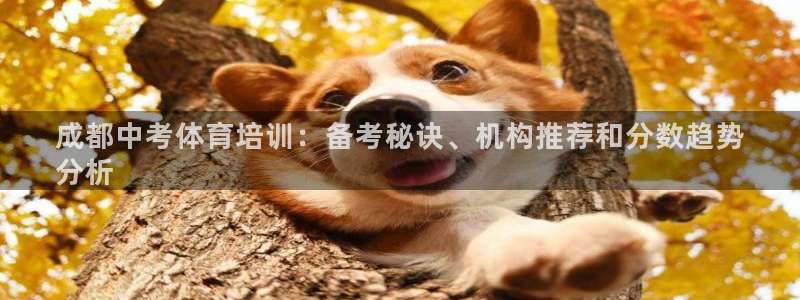 焦点娱乐门徒娱乐骗局曝光：成都中考体育培训：备考秘诀