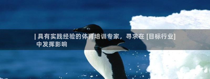 焦点娱乐游戏：| 具有实践经验的体育培训专家，寻求在