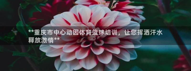 焦点娱乐跨服怎么玩