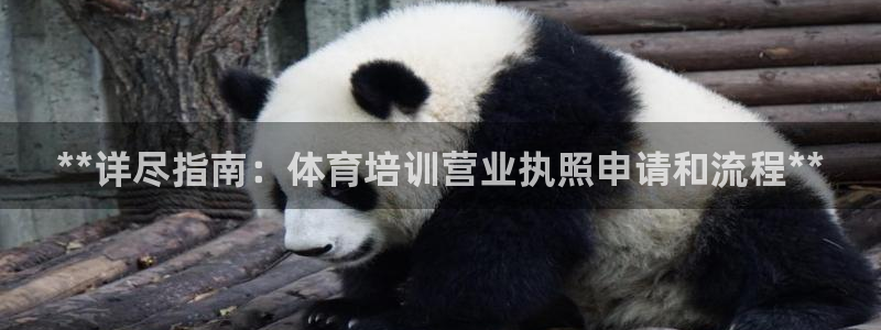 焦点娱乐官网下载安装最新版