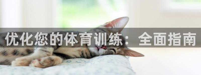 焦点娱乐传媒有限公司怎么样知乎招聘：优化您的体育训练