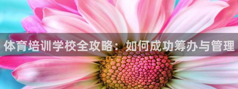焦点娱乐软件版本区别