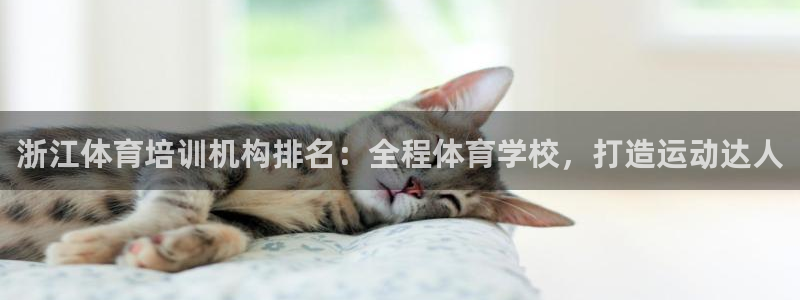 焦点娱乐加速器下载：浙江体育培训机构排名：全程体育学