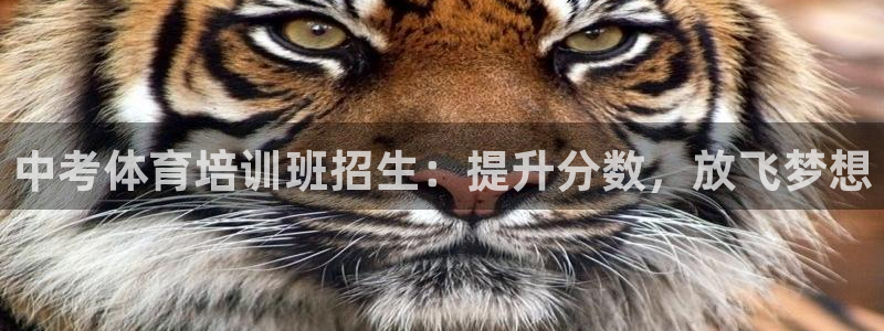 焦点娱乐App下载：中考体育培训班招生：提升分数，放
