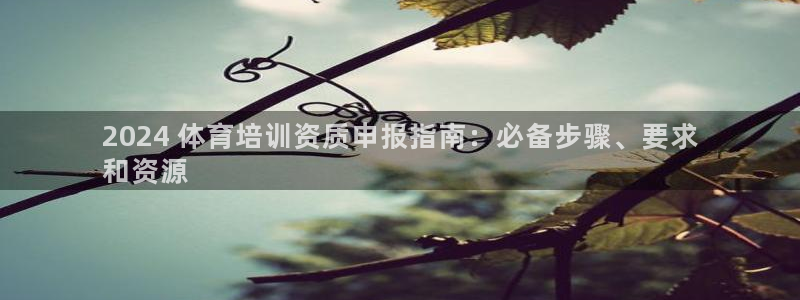 焦点娱乐公司的发展历程是什么：2024 体育培训资质