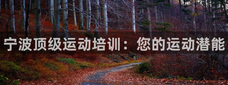 焦点娱乐平台总代理开户怎么样啊：宁波顶级运动培训：您