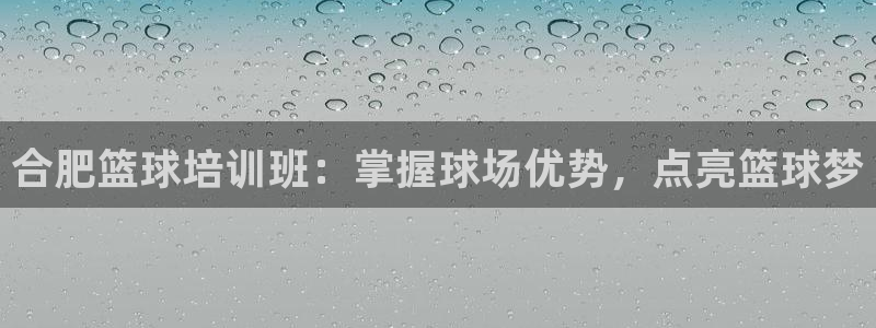 焦点娱乐平台客服电话号码查询：合肥篮球培训班：掌握球