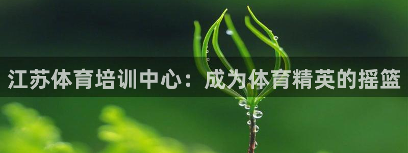焦点娱乐有限公司怎么样：江苏体育培训中心：成为体育精
