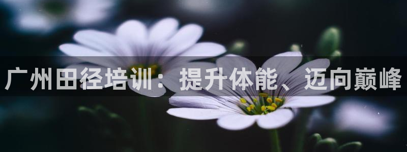 焦点娱乐平台供7O777：广州田径培训：提升体能、迈
