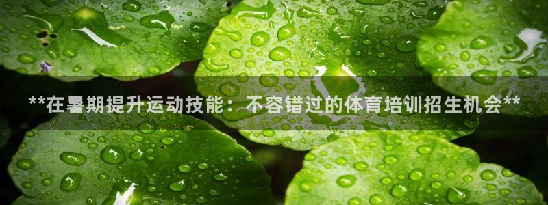焦点娱乐力 411o31 焦点：**在暑期提升运动技
