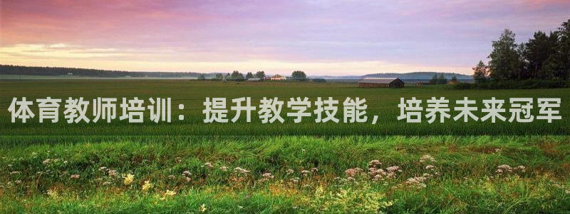 焦点娱乐公司是干嘛的：体育教师培训：提升教学技能，培