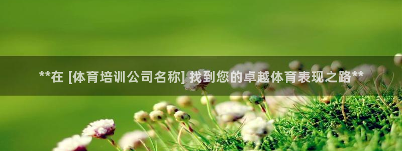 焦点娱乐拉菲10：**在 [体育培训公司名称] 找到