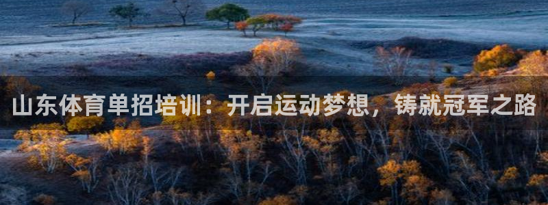 焦点娱乐官网下载安装苹果版