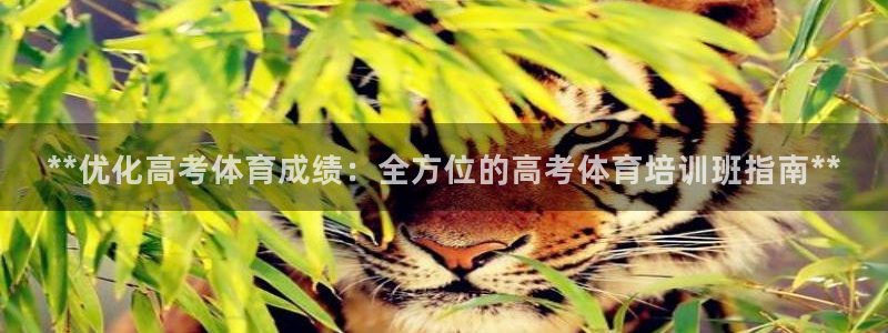 焦点娱乐陈江河：**优化高考体育成绩：全方位的高考体