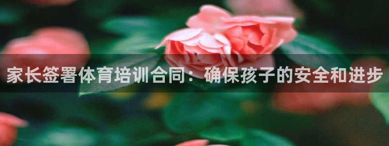 焦点娱乐带你走遍：家长签署体育培训合同：确保孩子的安