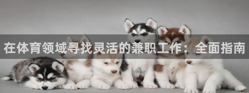 焦点娱乐传媒有限公司是干嘛的啊：在体育领域寻找灵活的