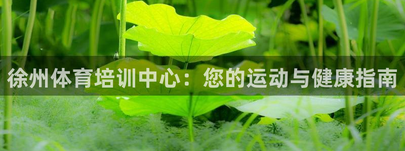 焦点娱乐官网首页：徐州体育培训中心：您的运动与健康指