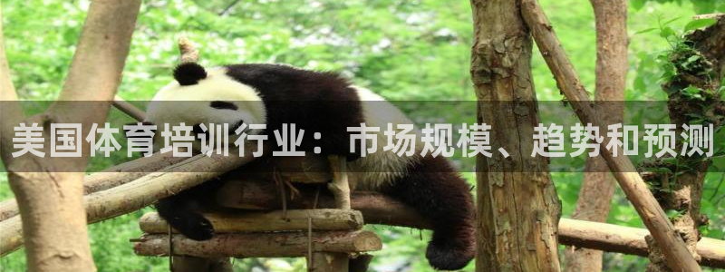 焦点娱乐官方网站下载手机版：美国体育培训行业：市场规