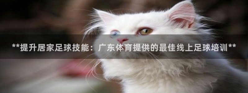 焦点娱乐官方网站入口：**提升居家足球技能：广东体育