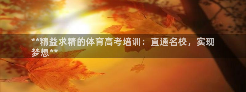 焦点娱乐游戏攻略大全：**精益求精的体育高考培训：直