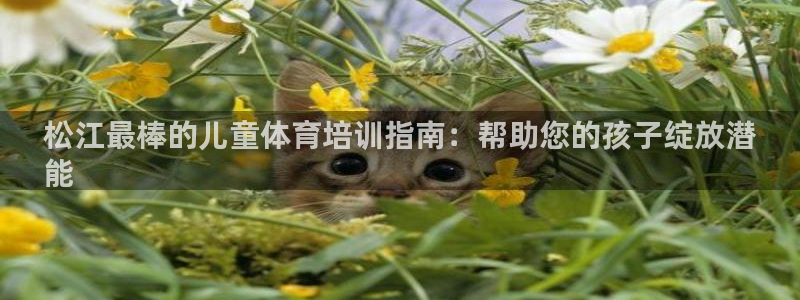 焦点娱乐软件版本大全：松江最棒的儿童体育培训指南：帮