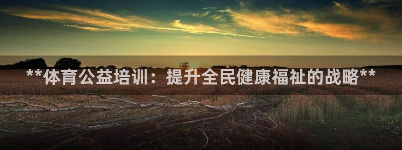 焦点娱乐挂机：**体育公益培训：提升全民健康福祉的战