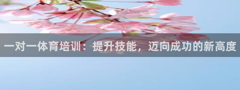 焦点娱乐是哪个公司的品牌：一对一体育培训：提升技能，