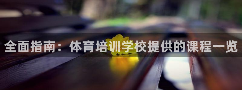 焦点娱乐是什么软件：全面指南：体育培训学校提供的课程