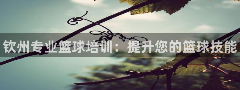 焦点娱乐平台是正规的吗安全吗知乎：钦州专业篮球培训：