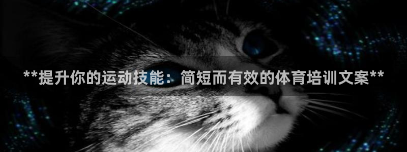 焦点娱乐平台客服电话号码是多少