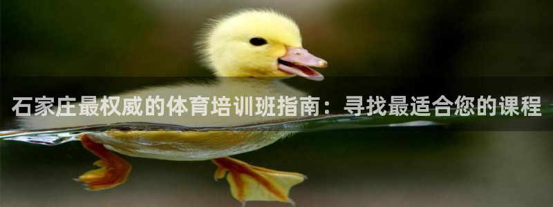 焦点娱乐跨服怎么玩：石家庄最权威的体育培训班指南：寻