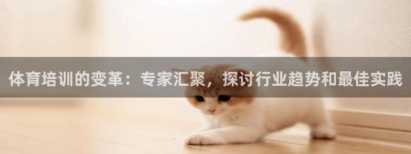 焦点娱乐传媒有限公司怎么样