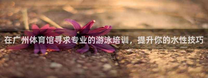 焦点娱乐平台是正规的吗安全吗可靠吗：在广州体育馆寻求