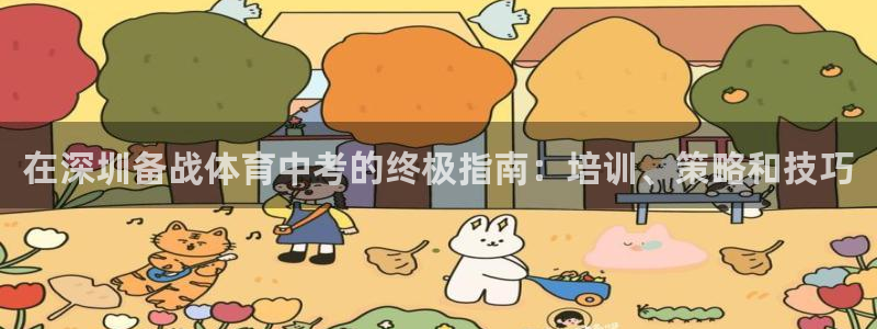 焦点娱乐网站下载地址：在深圳备战体育中考的终极指南：培训、策