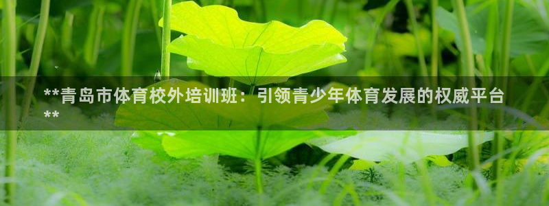 焦点娱乐软件版本大全