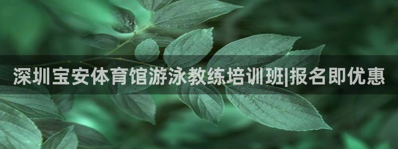 焦点娱乐有限公司怎么样：深圳宝安体育馆游泳教练培训班