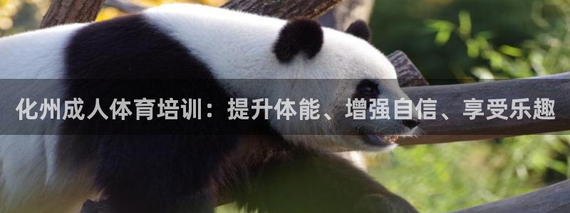焦点娱乐平台客服电话：化州成人体育培训：提升体能、增