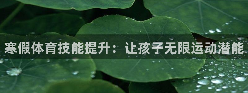 焦点娱乐官方网站入口在线观看：寒假体育技能提升：让孩