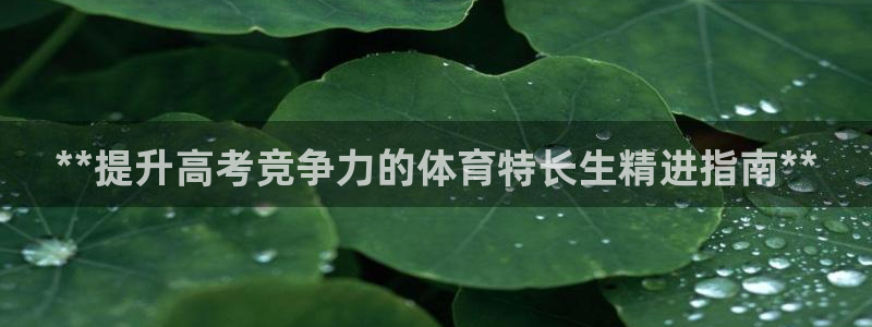 焦点娱乐如何注册账号和密码：**提升高考竞争力的体育特长生精
